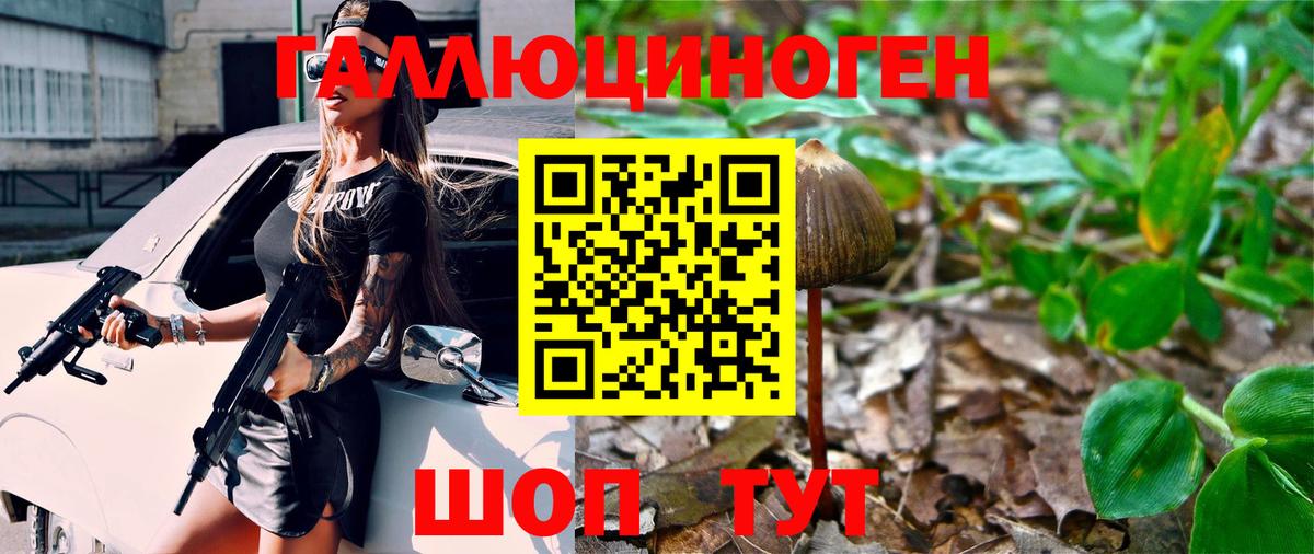 Галлюциногенные грибы Cubensis Ишим